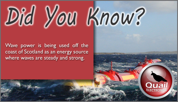 Quail Power Wave Energy | Quail Blog